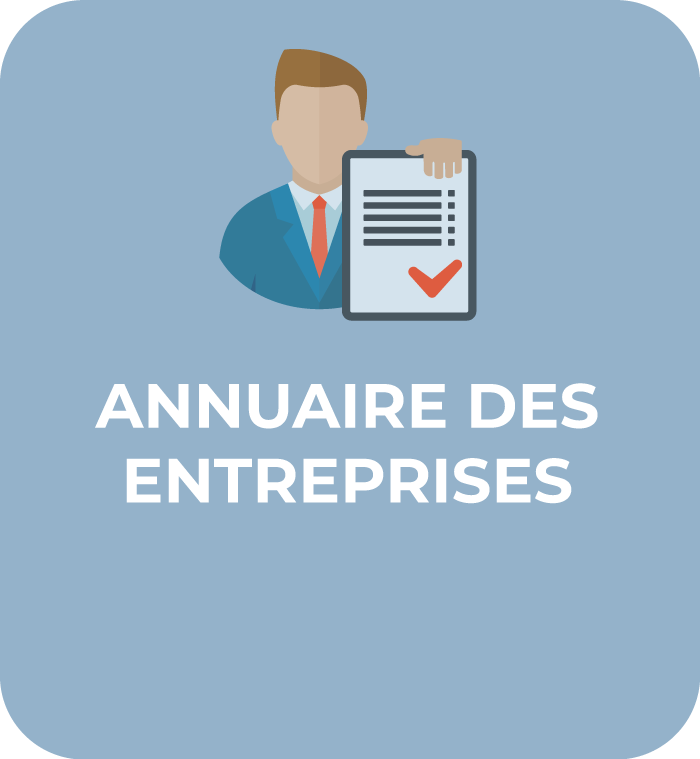 Communauté-de-Communes-Chabris-Pays-de-Bazelle-pictogramme-annuaire-des-entreprises-opaque2