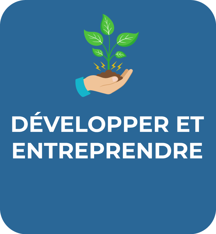 Communauté-de-Communes-Chabris-Pays-de-Bazelle-pictogramme-developper-et-entreprendre2