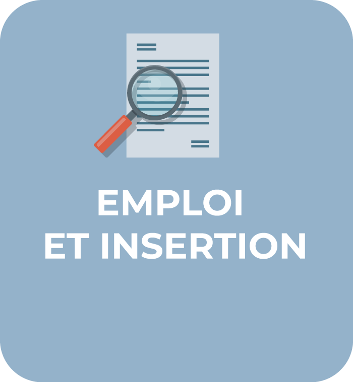 Communauté-de-Communes-Chabris-Pays-de-Bazelle-pictogramme-emploi-et-insertion-opaque2