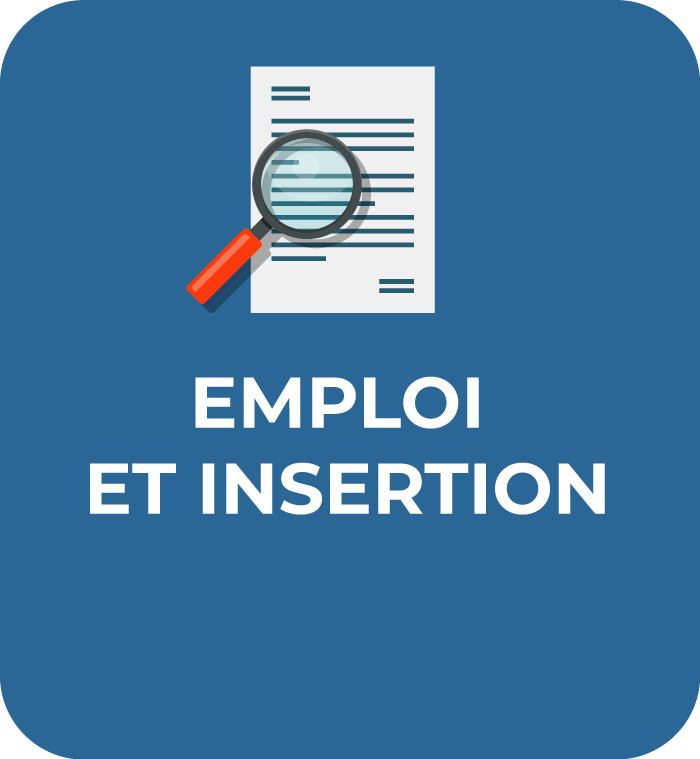 Communauté-de-Communes-Chabris-Pays-de-Bazelle-pictogramme-emploi-et-insertion2