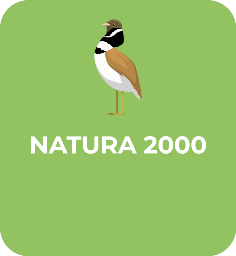 Communauté-de-Communes-Chabris-Pays-de-Bazelle-pictogramme-natura-200-