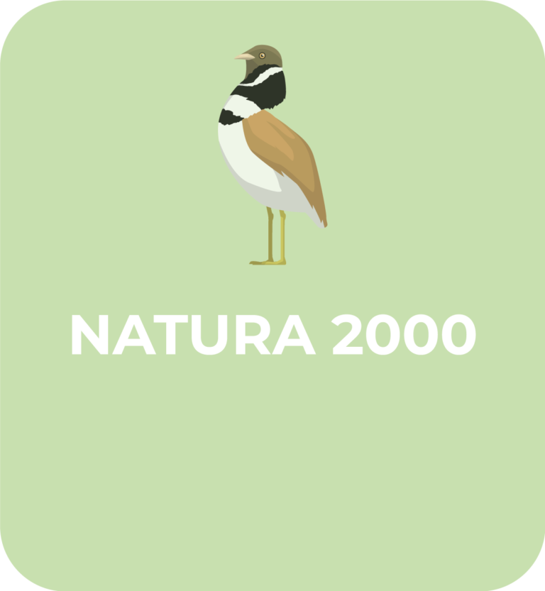Communauté-de-Communes-Chabris-Pays-de-Bazelle-pictogramme-natura-2000