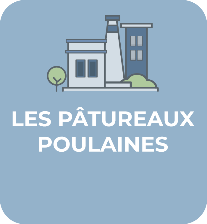 Communauté-de-Communes-Chabris-Pays-de-Bazelle-pictogramme-zones-activites-les-patureaux-opaque