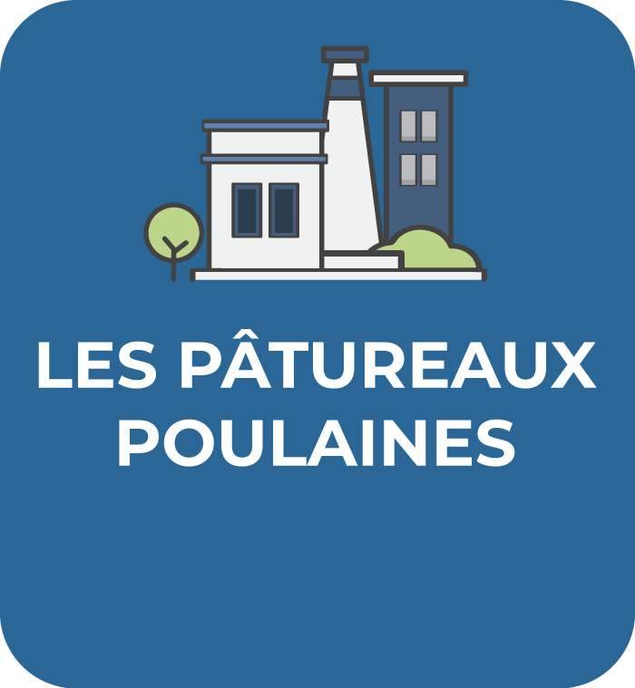 Communauté-de-Communes-Chabris-Pays-de-Bazelle-pictogramme-zones-activites-les-patureaux