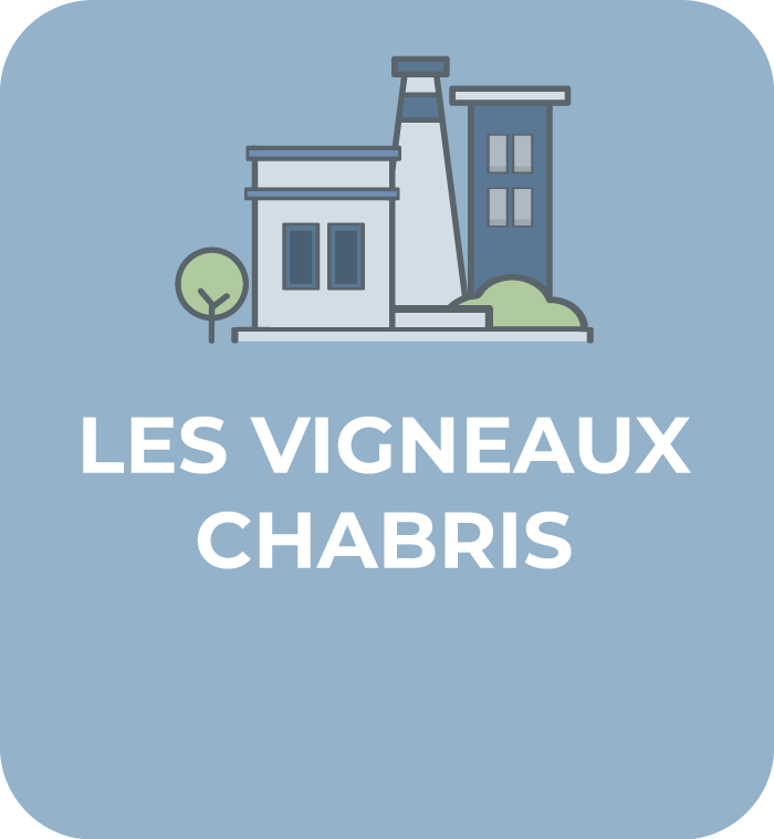 Communauté-de-Communes-Chabris-Pays-de-Bazelle-pictogramme-zones-activites-les-vigneaux-opaque