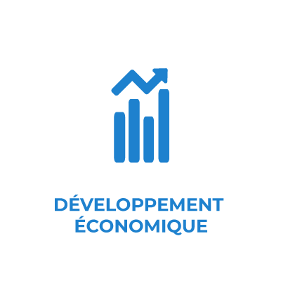Pictogramme-Vie-Economique-Communaute-de-Communes-Chabris-Pays-de-Bazelle-Survol